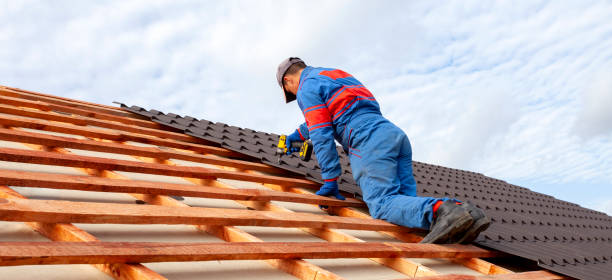 Best Skylight Installation and Repair  in Petersburg, VA